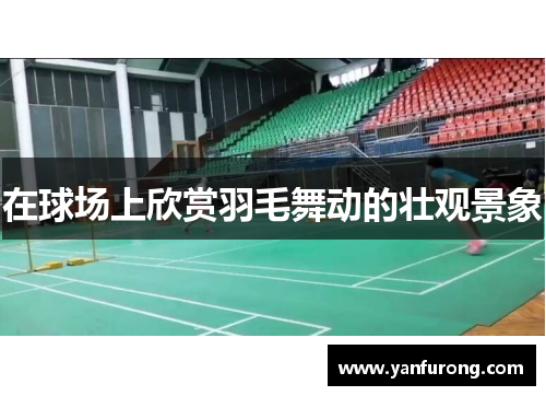 在球场上欣赏羽毛舞动的壮观景象